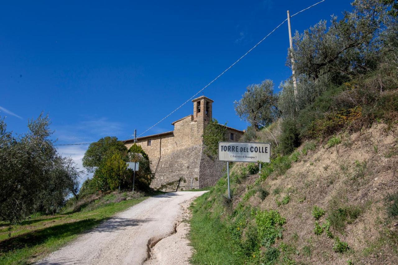 La Vernaccia - Torre Del Colle, Bevagna 외부 사진